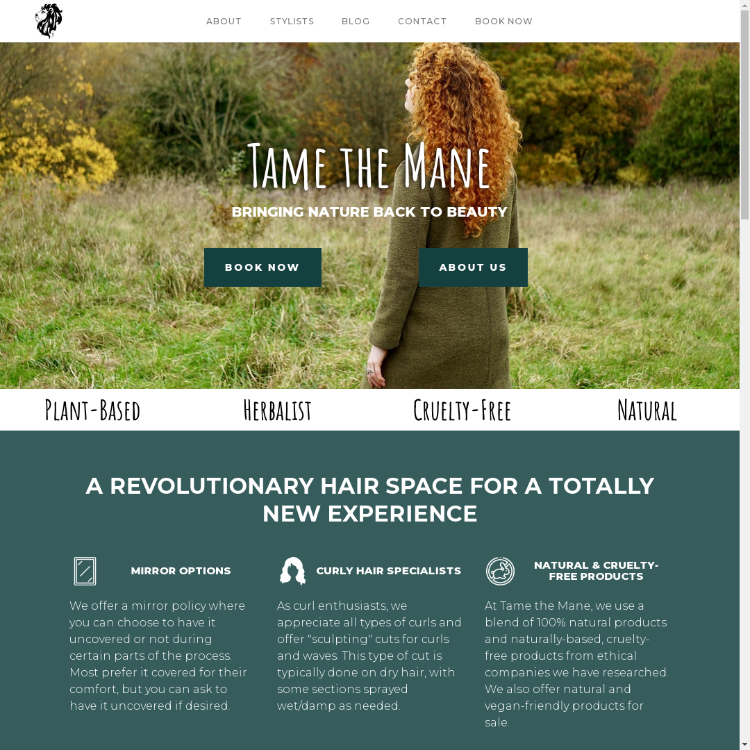 A screenshot of a hair salons website, the site has a green theme.